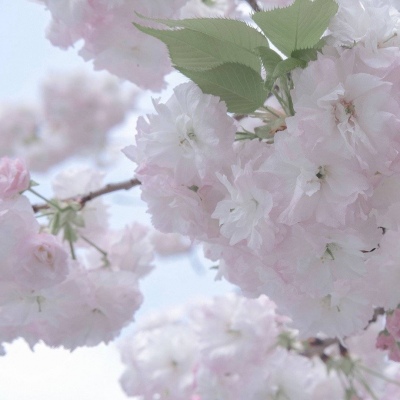 Furry绘画原创技巧福瑞群